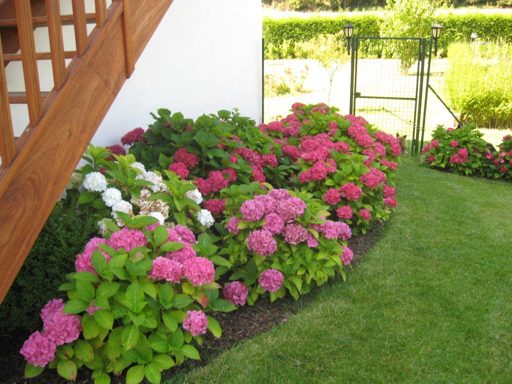 Bed and Breakfast La Bourgade Estreelles Экстерьер фото